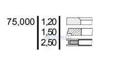 120037005900