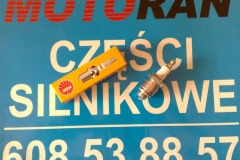 Świeca zapłonowa