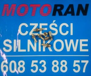 Dysza gazu LPG